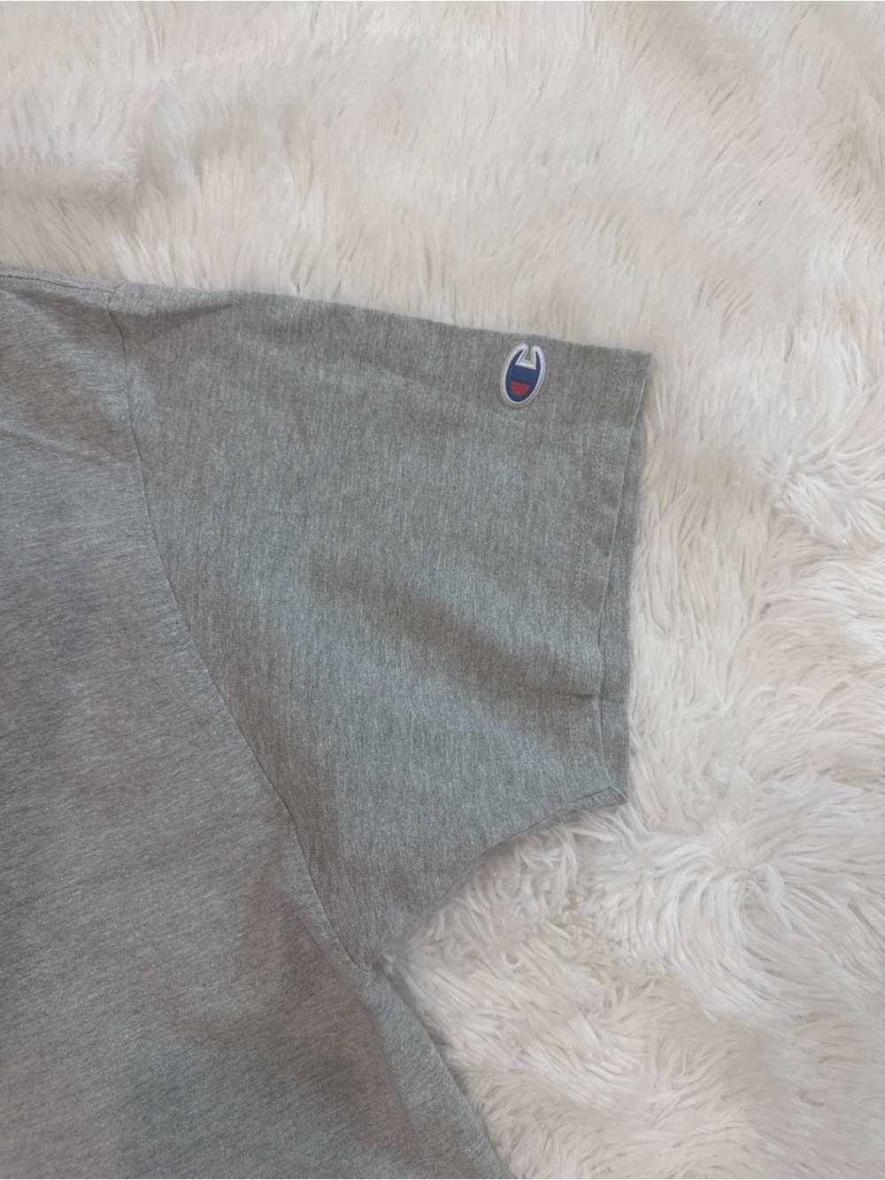 Used Men’s Champion Gray Short-Sleeve Tee with Blue Reflective Logo - Picture 6 of 6